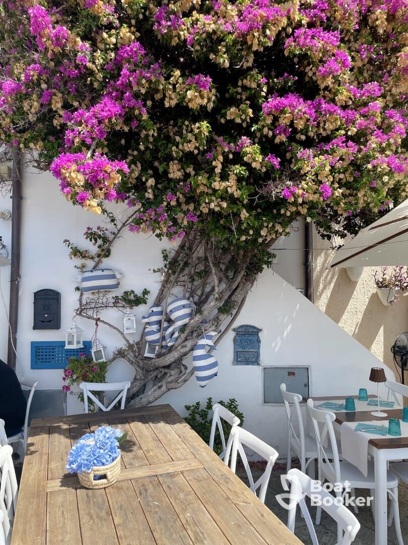 A vibrant outdoor setting featuring a wooden table adorned with blue flowers and surrounded by colorful bougainvillea, creating a charming atmosphere.