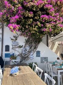 A vibrant outdoor setting featuring a wooden table adorned with blue flowers and surrounded by colorful bougainvillea, creating a charming atmosphere.