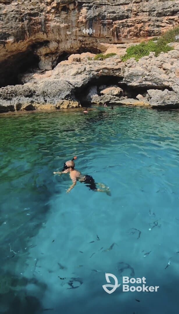 A child enjoys snorkeling in crystal-clear waters of a scenic cove, surrounded by vibrant marine life — a perfect family adventure in nature.