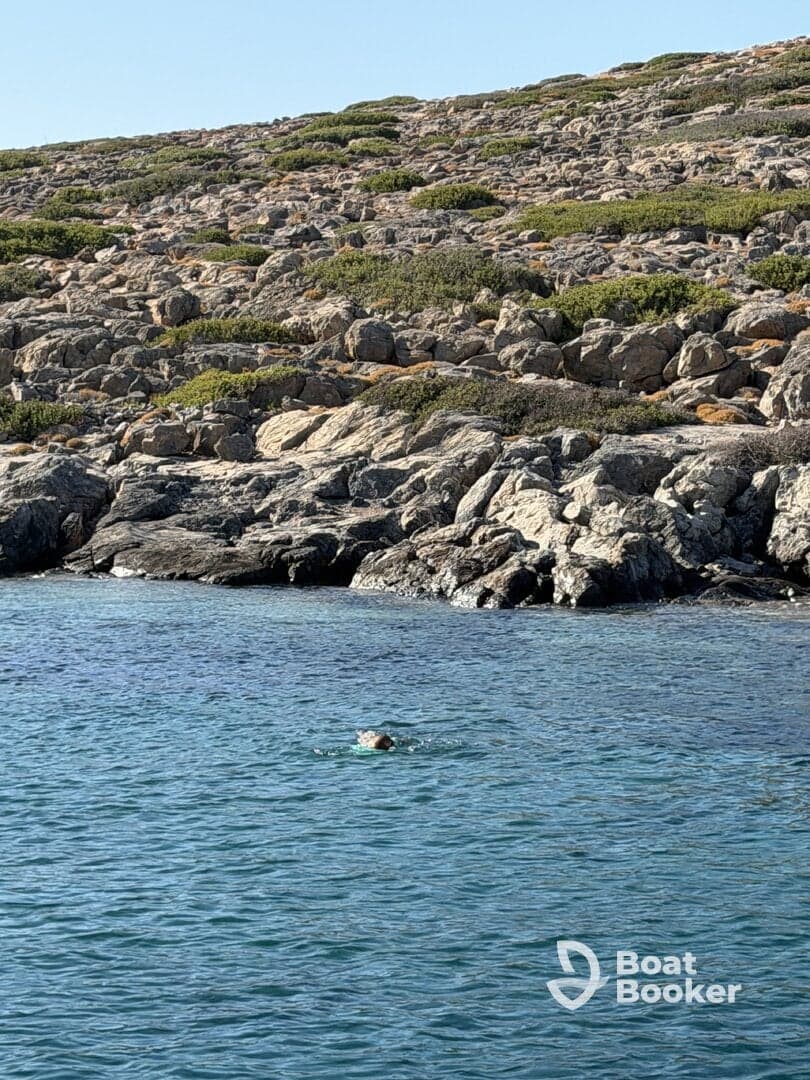 A swimmer enjoys the clear waters near a rocky coastline, showcasing the beauty of outdoor adventures and water activities.