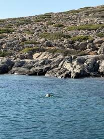 A swimmer enjoys the clear waters near a rocky coastline, showcasing the beauty of outdoor adventures and water activities.