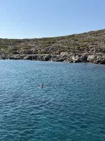 A person enjoys a refreshing swim in the crystal-clear waters near a rocky coastline, showcasing the beauty of a perfect day on the water.