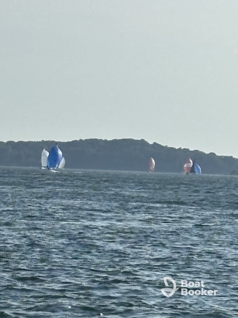 A picturesque scene of sailboats participating in a regatta, showcasing vibrant sails against the serene water backdrop.