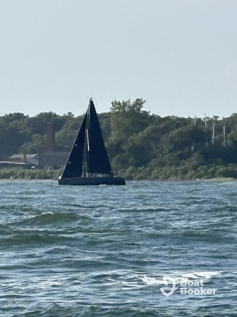 A sleek sailboat navigates through the water, showcasing its elegant design against a backdrop of lush greenery.