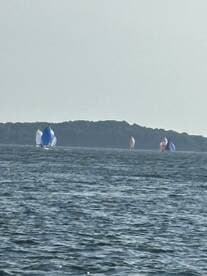 A picturesque scene of sailboats participating in a regatta, showcasing vibrant sails against the serene water backdrop.