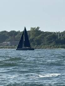 A sleek sailboat navigates through the water, showcasing its elegant design against a backdrop of lush greenery.