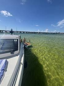 A lively group enjoys a sandbar stop, with some swimming and others relaxing on the boat — a perfect day for fun in the sun.