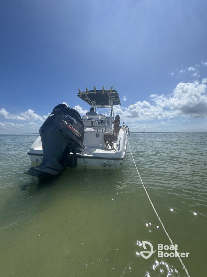 A group enjoys a sunny day on a boat anchored in shallow waters, with a dog on board, perfect for a relaxing outing on the water.