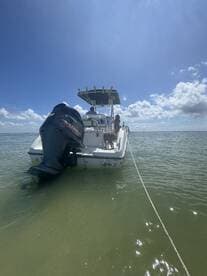 A group enjoys a sunny day on a boat anchored in shallow waters, with a dog on board, perfect for a relaxing outing on the water.
