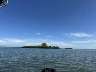 A picturesque view of a lush island surrounded by tranquil waters, perfect for exploring the natural beauty of coastal landscapes.