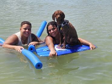 Two friends enjoy a sunny day in the water with their dog, showcasing a fun and playful atmosphere perfect for summer outings.
