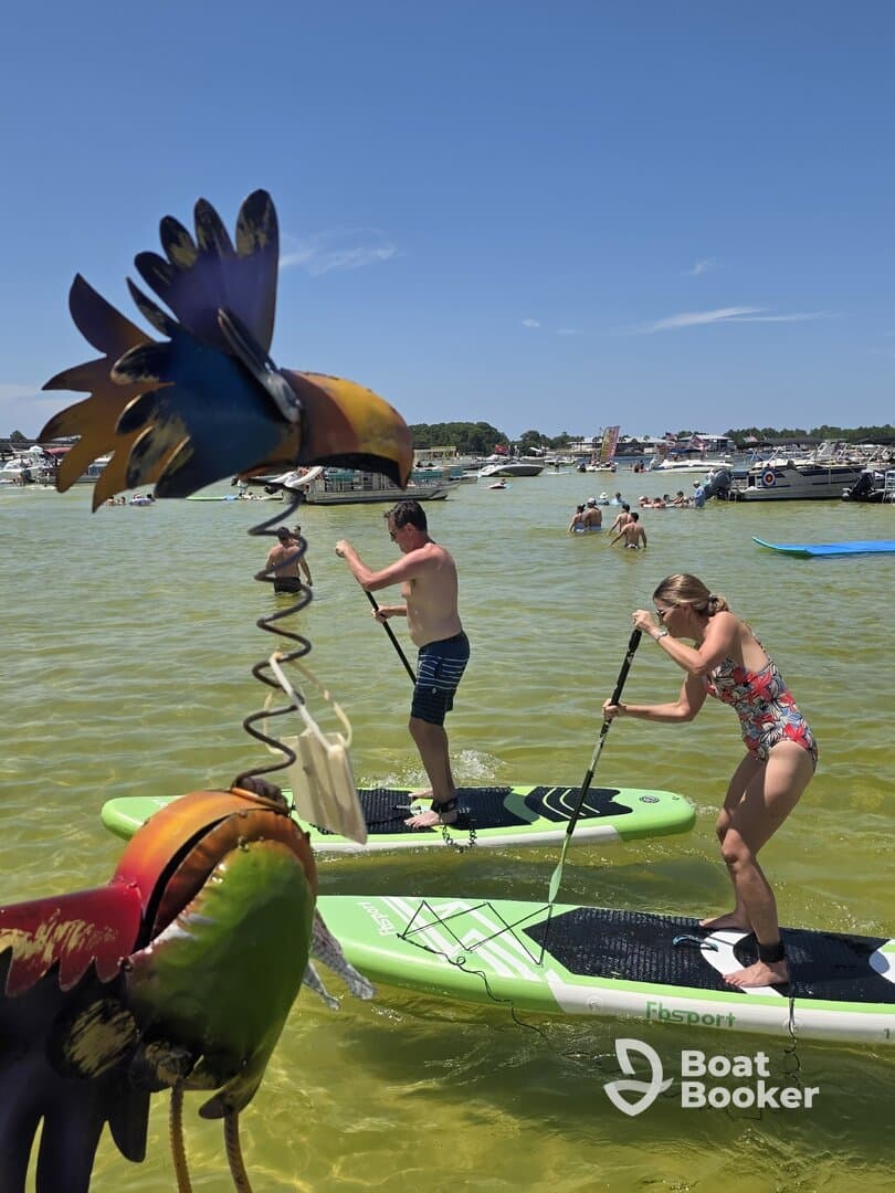 Two individuals paddleboard in shallow waters, enjoying a sunny day filled with water activities — a perfect summer adventure.