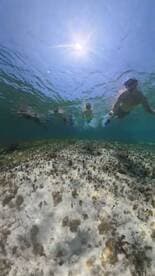 A group of snorkelers explores the vibrant underwater world, showcasing a fun and adventurous day in the water — perfect for family outings or aquatic adventures.