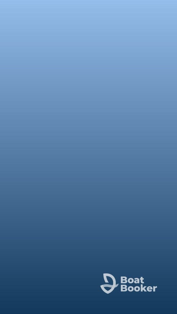 The image is unclear and does not provide identifiable content.