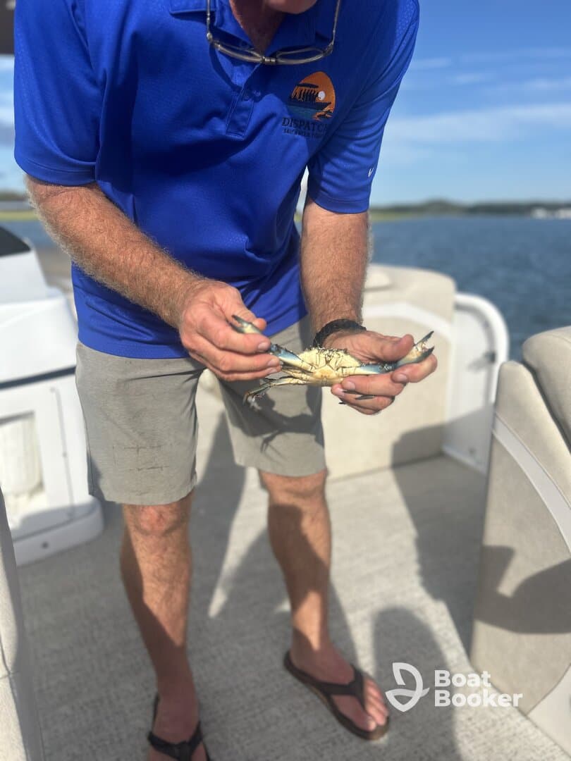A man holds a freshly caught crab aboard a boat, showcasing the excitement of fishing adventures on the water.