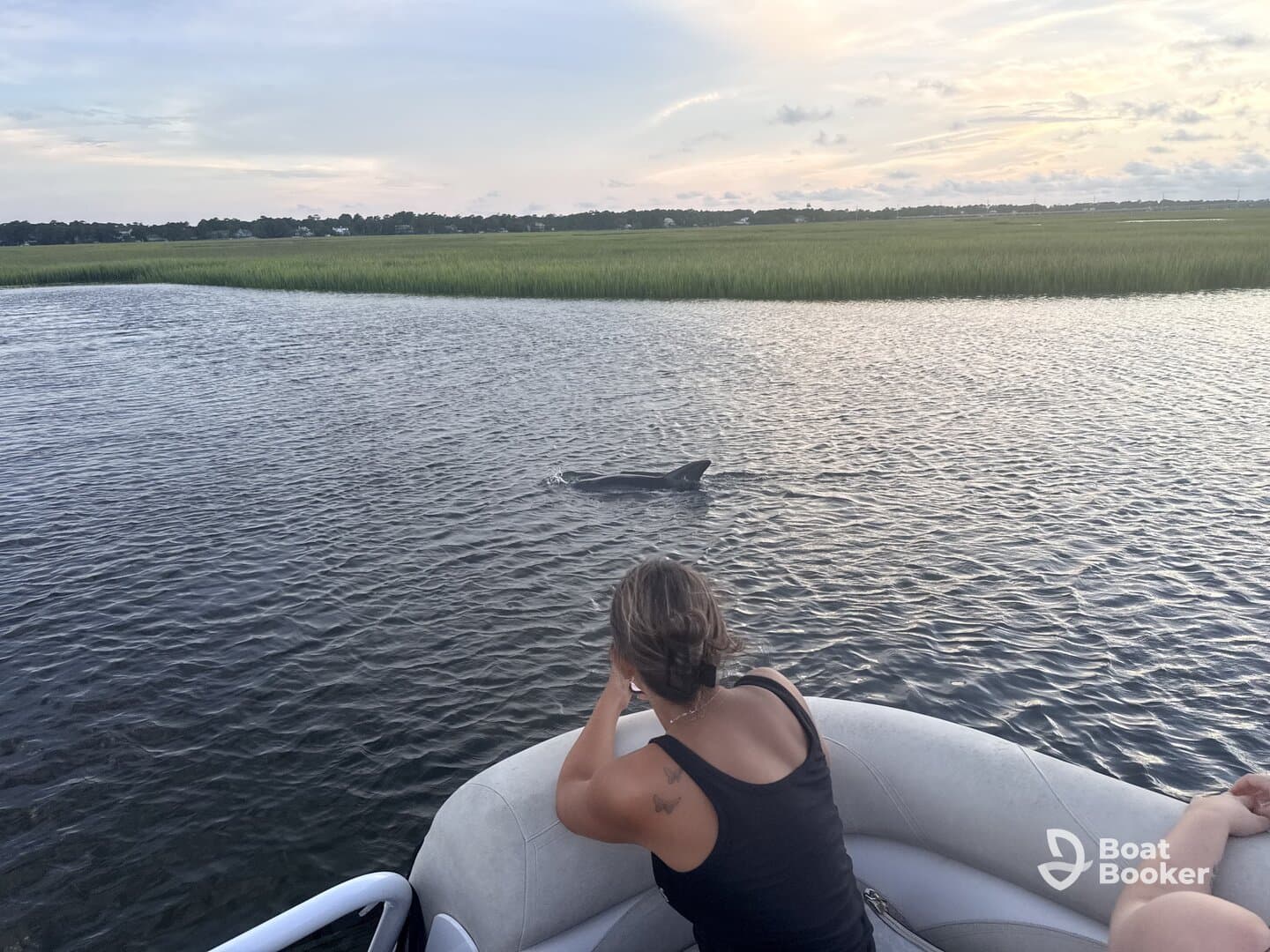 A dolphin swims near a boat while a guest observes, showcasing a beautiful wildlife encounter in a serene waterway.