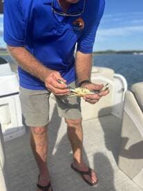 A man holds a freshly caught crab aboard a boat, showcasing the excitement of fishing adventures on the water.