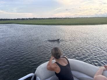 A dolphin swims near a boat while a guest observes, showcasing a beautiful wildlife encounter in a serene waterway.