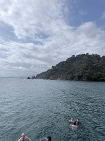 A group of friends enjoys a refreshing swim in the clear waters near a lush coastline, perfect for a fun day out on the water.