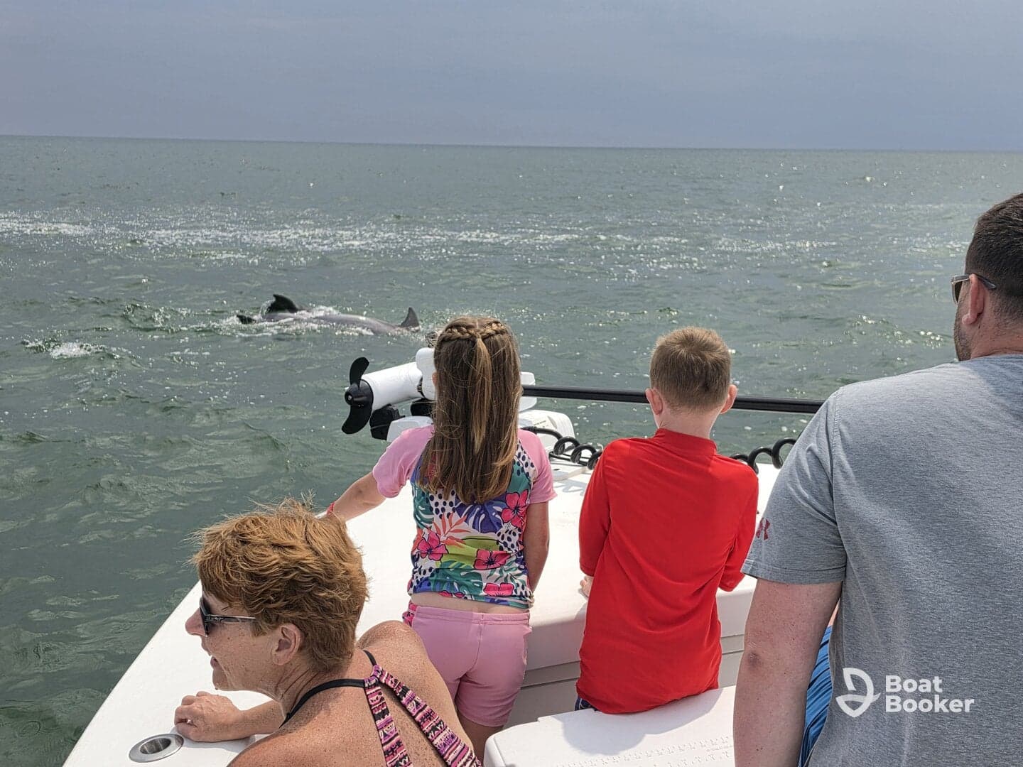 A group of children and adults watch dolphins swimming nearby from their boat, creating a memorable wildlife encounter on the water.