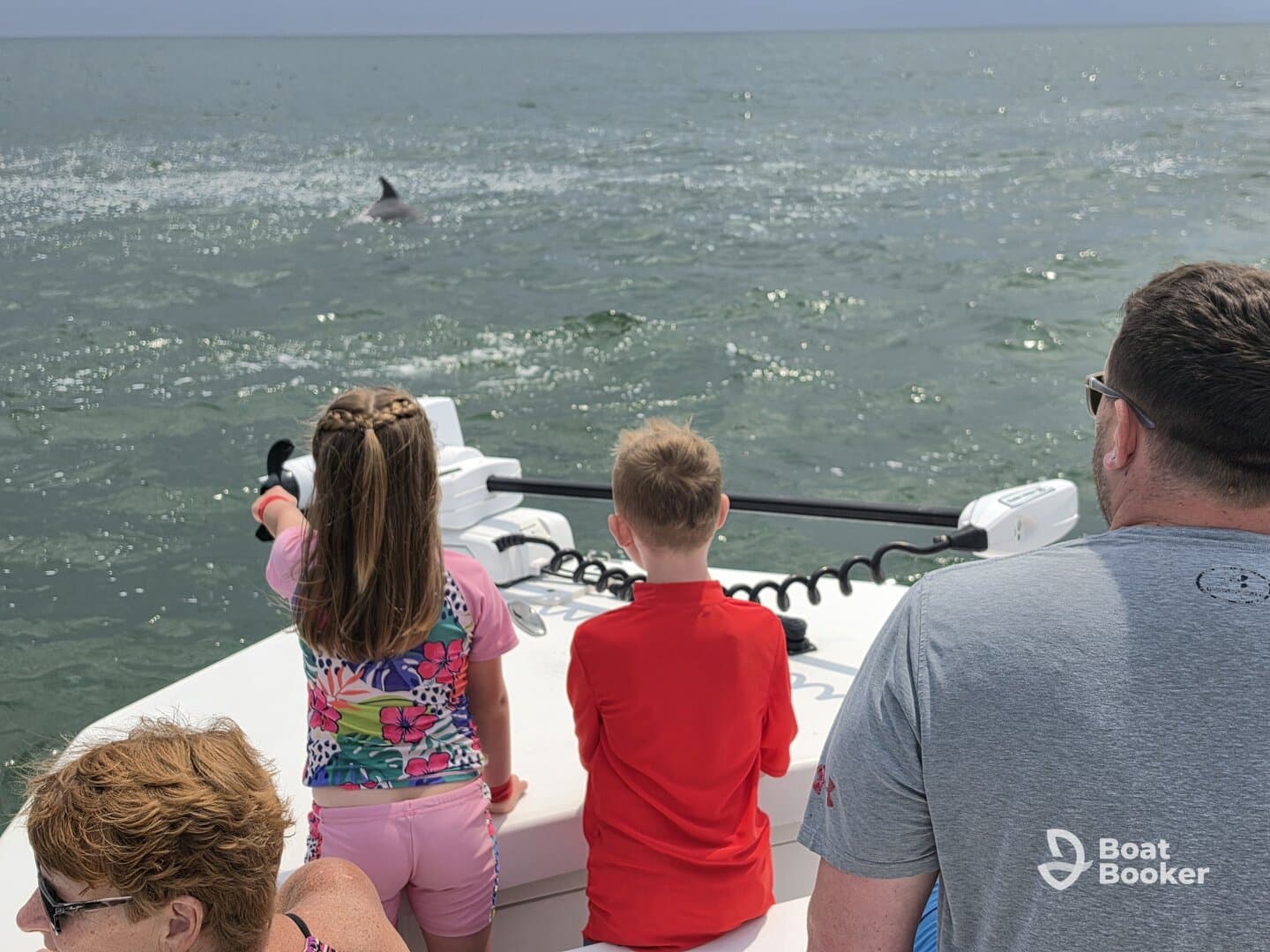 Children excitedly watch dolphins swimming nearby from the boat, creating a memorable wildlife encounter on the water.
