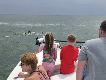 A group of children and adults watch dolphins swimming nearby from their boat, creating a memorable wildlife encounter on the water.
