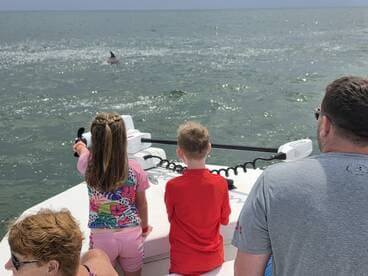 Children excitedly watch dolphins swimming nearby from the boat, creating a memorable wildlife encounter on the water.
