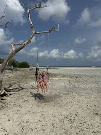Two children enjoy swinging from a tree on a sandy beach, capturing the essence of fun and adventure in a tropical setting.