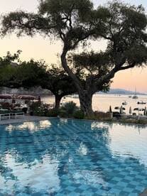 A tranquil scene featuring a pool reflecting the surrounding trees and distant boats, creating a serene atmosphere perfect for relaxation.