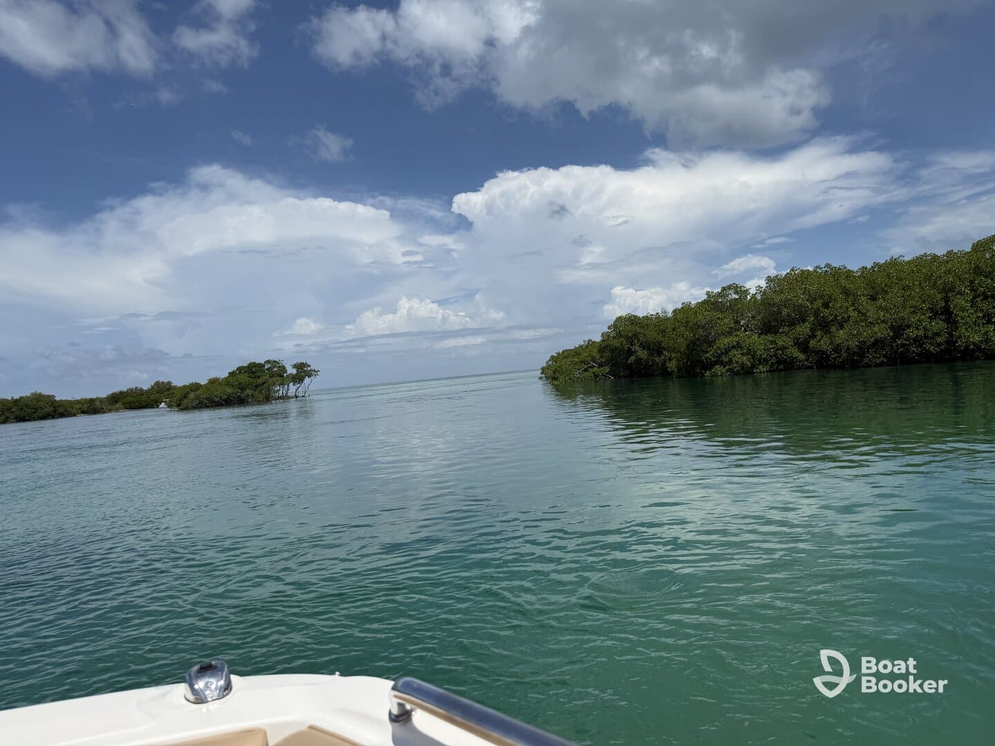 A serene view of mangroves along a tranquil waterway, showcasing the natural beauty of the coastline — perfect for eco tours and nature exploration.