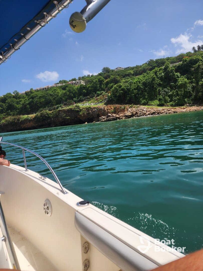 A scenic view from a boat showcasing lush greenery and a rocky coastline, perfect for exploring beautiful destinations on the water.