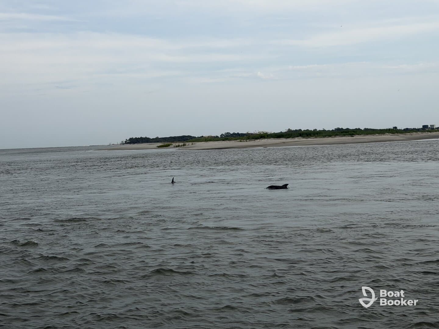 A great way to explore Folly Island and Morris Island