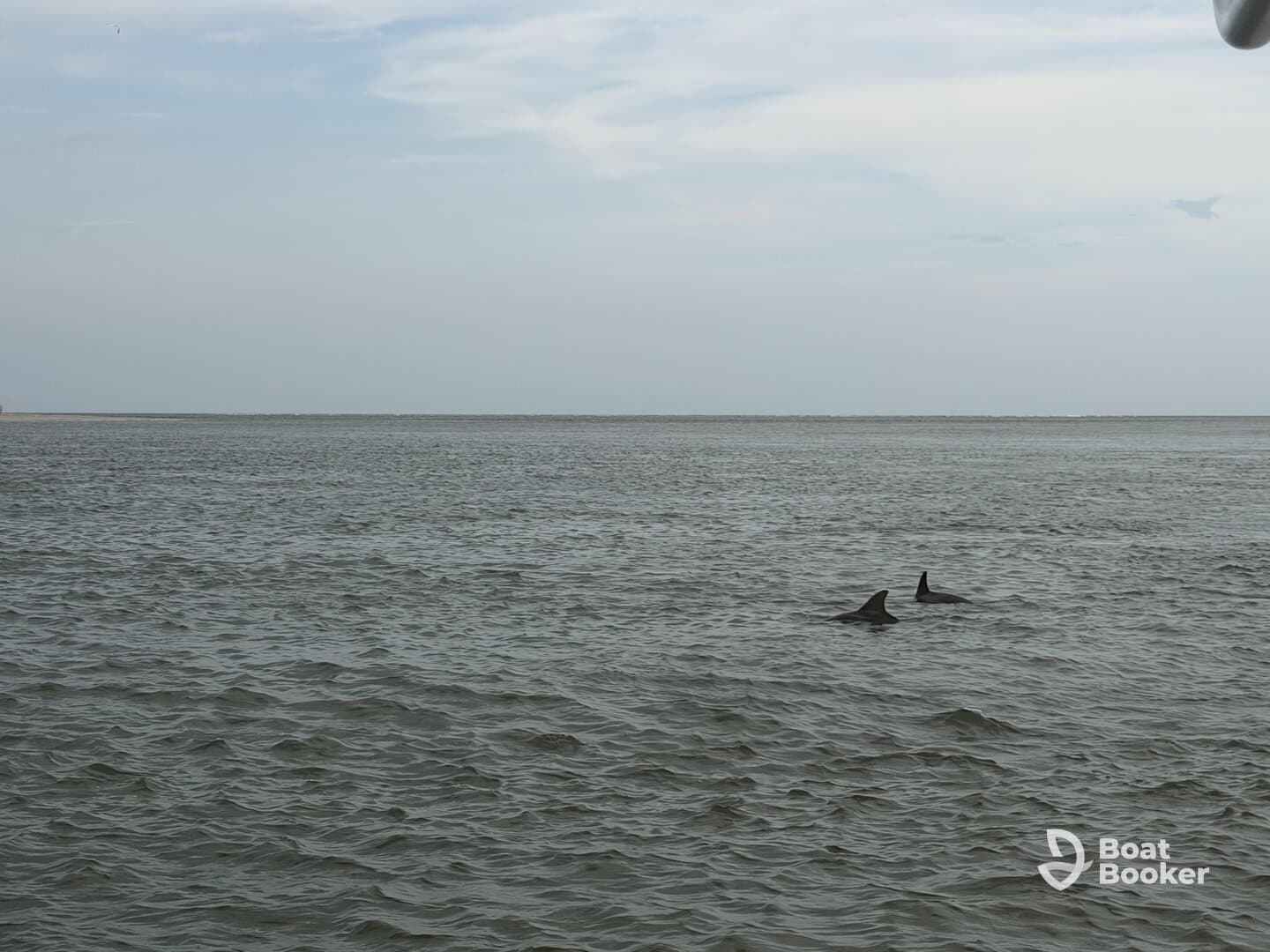 A great way to explore Folly Island and Morris Island