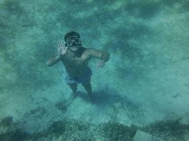 A snorkeler waves from beneath the water, showcasing the vibrant underwater scenery — a perfect moment for adventure seekers exploring marine life.
