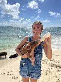 A young girl joyfully feeds a piglet on the beach, showcasing a delightful interaction with wildlife in a picturesque setting.