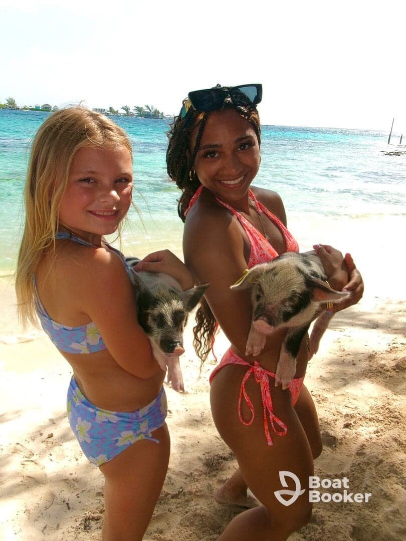 A joyful moment captured with a child and an adult holding adorable pigs on the beach, showcasing a unique wildlife interaction in the Bahamas.