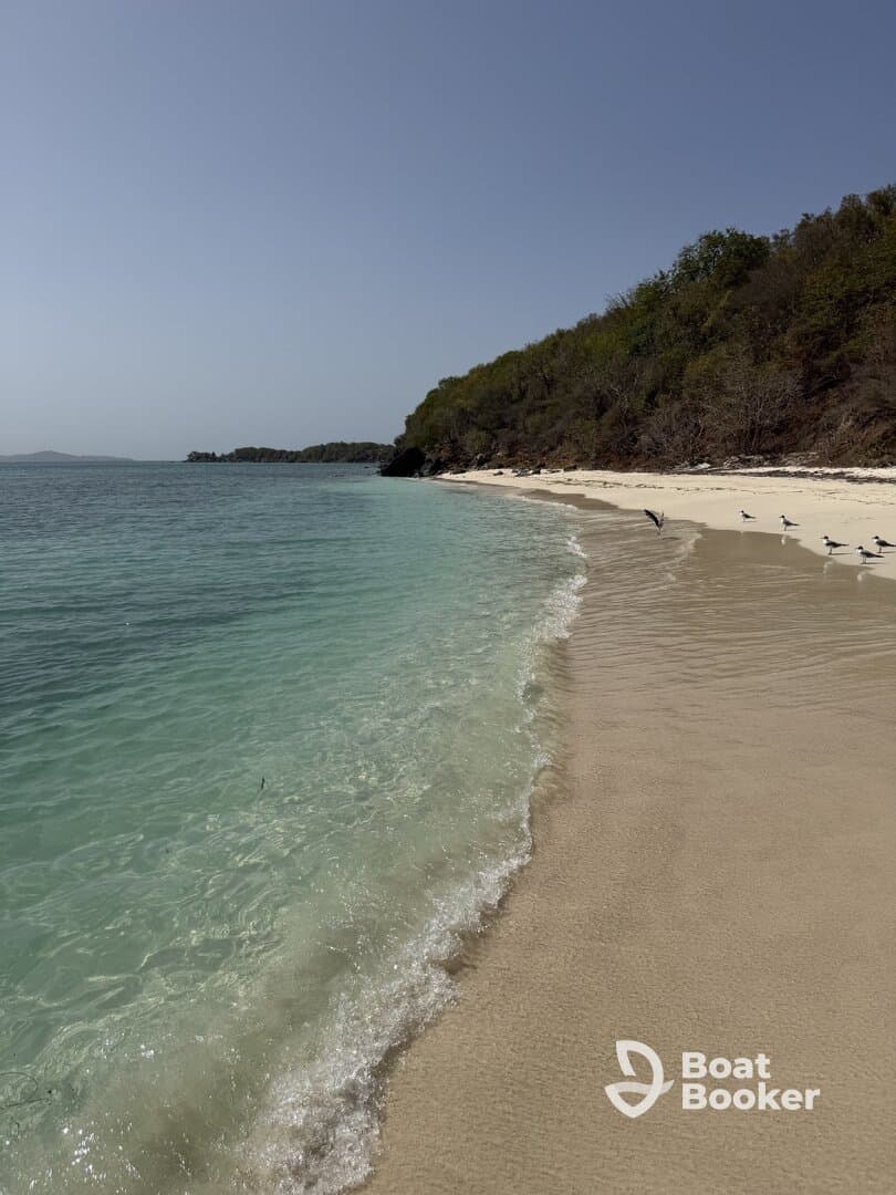 A serene view of a pristine beach with clear turquoise waters and gentle waves, perfect for a relaxing getaway or island exploration.