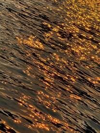 An abstract view of shimmering water, capturing the play of light on the surface. Ideal for showcasing the beauty of aquatic environments.