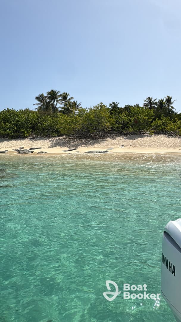 A serene view of a secluded beach with lush greenery and clear turquoise waters, perfect for a relaxing getaway or island exploration.