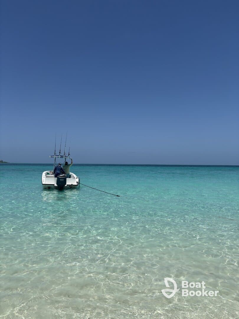 A speedboat anchored in crystal-clear waters, showcasing a serene day on the water — perfect for fishing or leisure activities.
