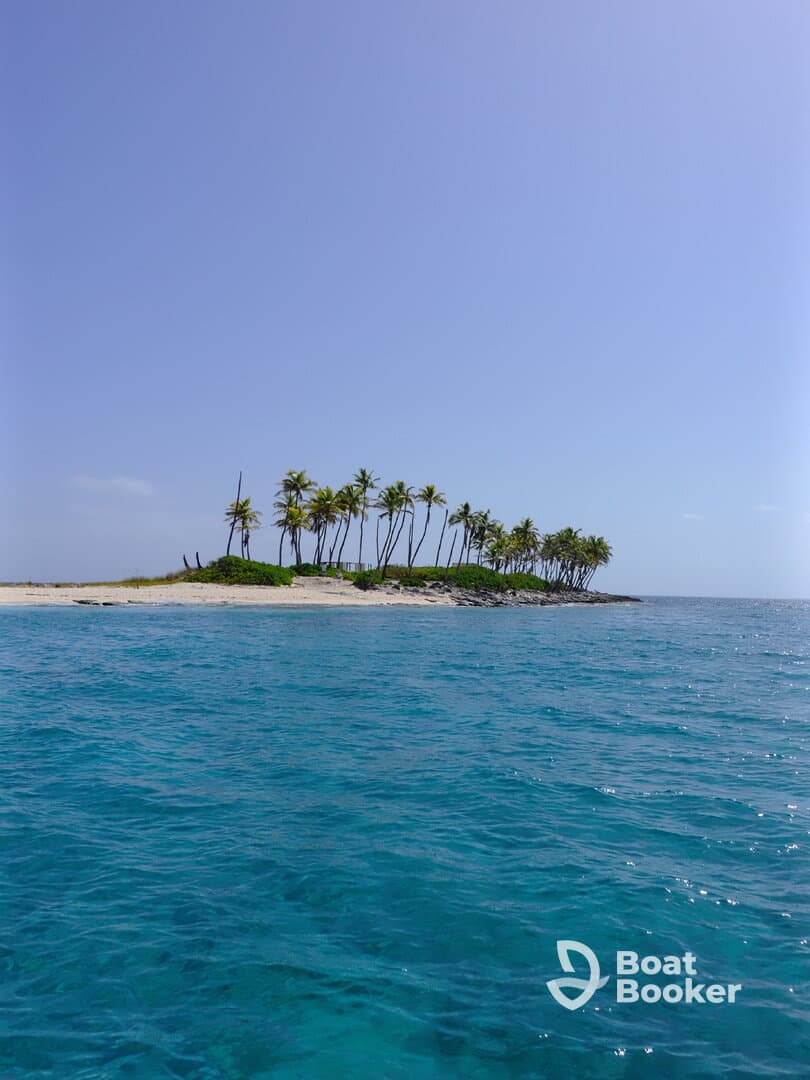 A stunning view of a secluded island with palm trees and crystal-clear waters, perfect for tropical getaways and island hopping adventures.