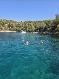 A group of friends enjoys a refreshing swim in crystal-clear waters, surrounded by lush greenery — a perfect summer getaway.