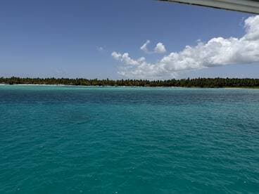 A stunning view of a tropical coastline with lush palm trees and crystal-clear turquoise waters, perfect for showcasing the beauty of island destinations.