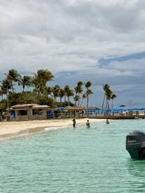 A group enjoys a sunny day at the beach, wading in the clear waters surrounded by palm trees — a perfect sandbar stop for relaxation and fun.