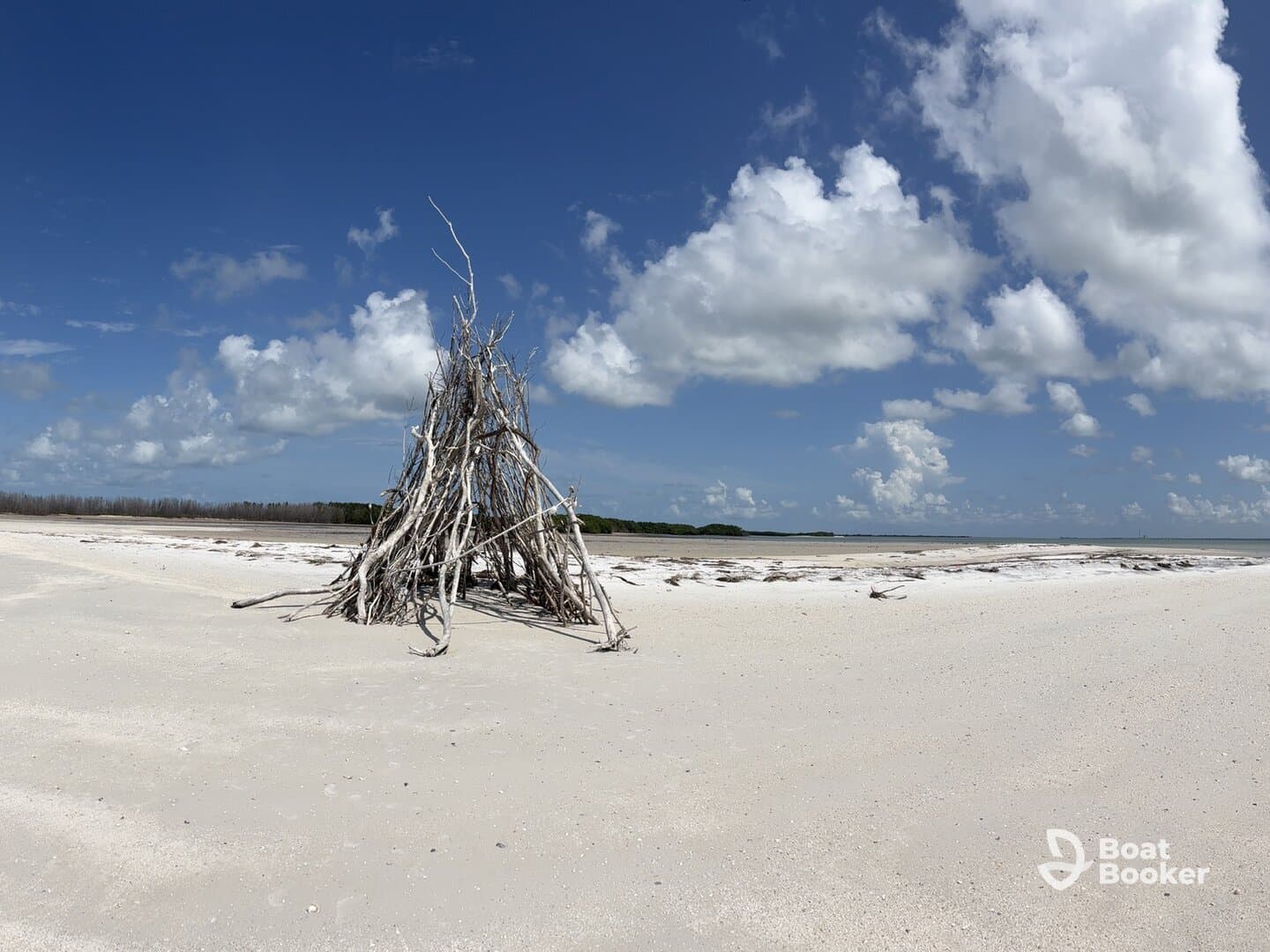 A scenic view of a beach with a driftwood structure under a bright blue sky, showcasing the natural beauty of the coastline.