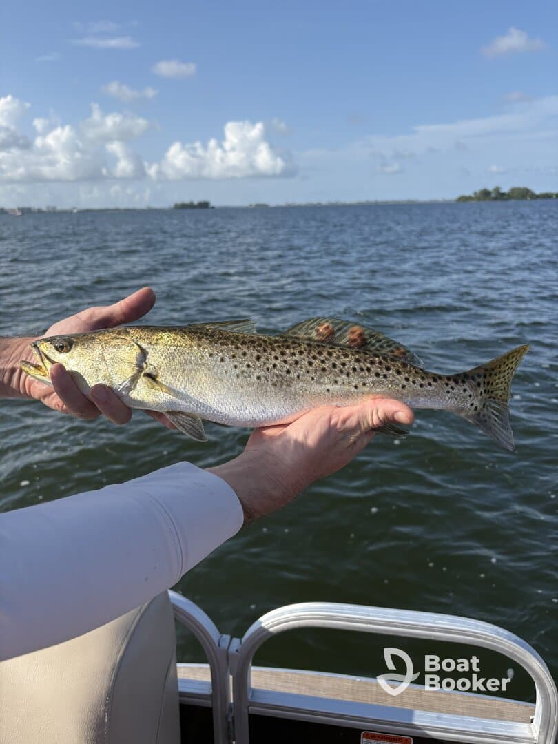 A close-up of a fisherman holding a beautiful speckled trout against a backdrop of shimmering water, showcasing a successful day of fishing.