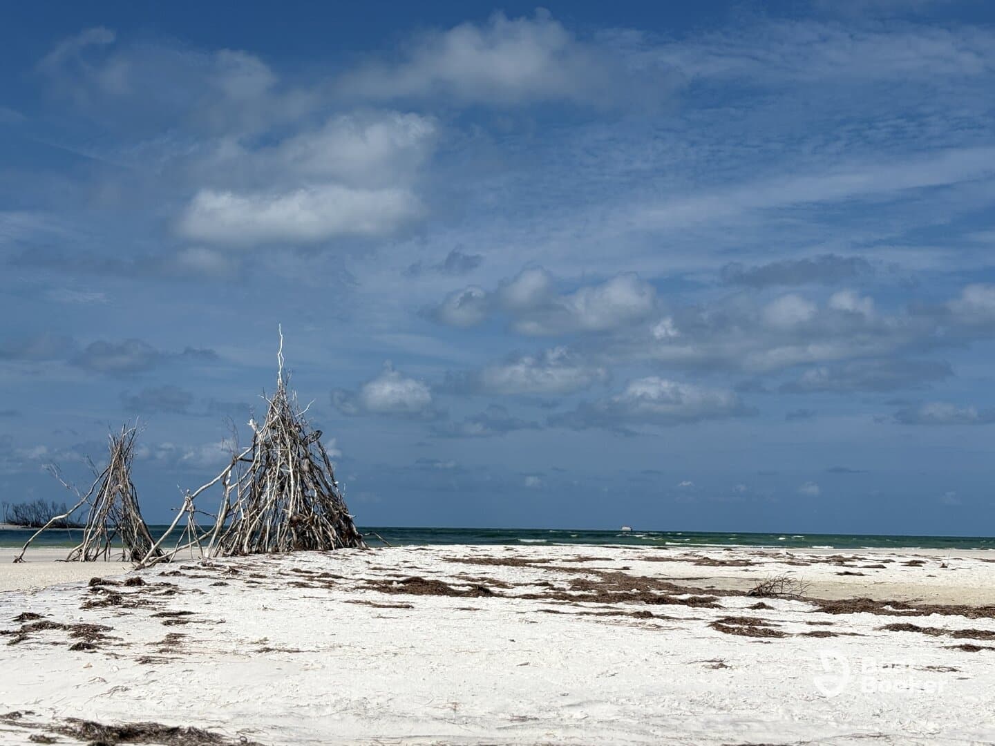 A scenic view of a beach with driftwood structures against a backdrop of blue skies and ocean. The image captures the serene coastal landscape.