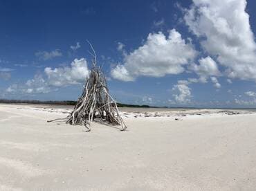 A scenic view of a beach with a driftwood structure under a bright blue sky, showcasing the natural beauty of the coastline.