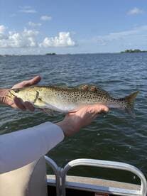 A close-up of a fisherman holding a beautiful speckled trout against a backdrop of shimmering water, showcasing a successful day of fishing.