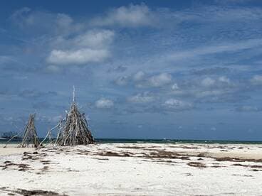 A scenic view of a beach with driftwood structures against a backdrop of blue skies and ocean. The image captures the serene coastal landscape.